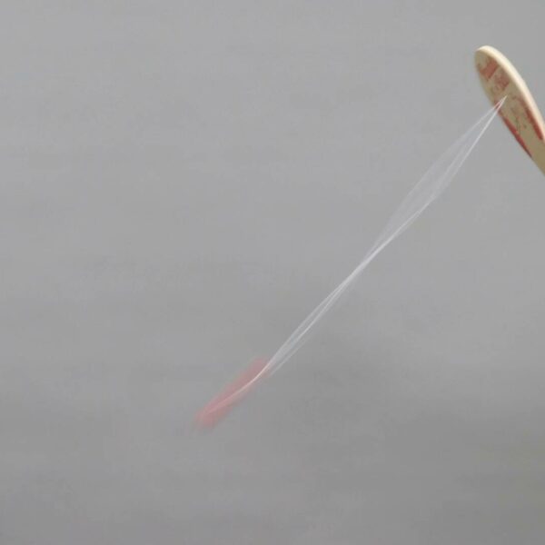 Wooden paddle and ball game video
