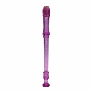 Plastic Recorder Purple