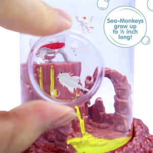 Fingers holding a small magnifying glass up to the aquarium. Two magnified Sea-Monkeys are visble. There is a callout in a circle that reads "Sea-Monkeys grow up to 1/2 inch long!"